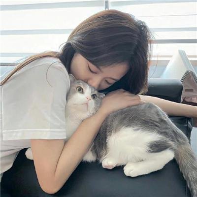 淘气飞行猴